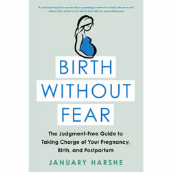 ISBN Birth Without Fear, Health, mind & body, English, Paperback, 288 pages