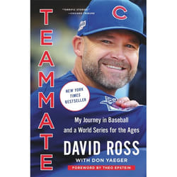 Hachette UK Teammate book English Paperback 272 pages