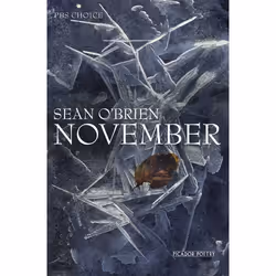 ISBN November, English, Paperback, 96 pages