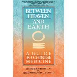 ISBN Between Heaven and Earth