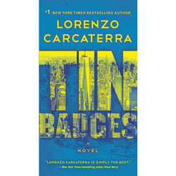 ISBN Tin Badges book English Paperback 384 pages