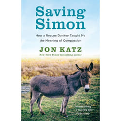 ISBN Saving Simon