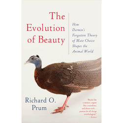 ISBN The Evolution of Beauty