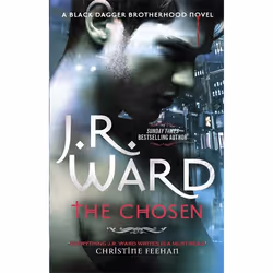 Hachette UK The Chosen, English, Paperback, 544 pages