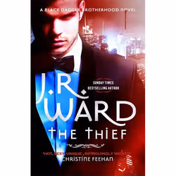 Hachette UK The Thief, English, Paperback, 400 pages