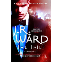 Hachette UK The Thief book English Paperback 400 pages