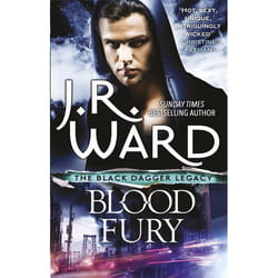Hachette UK Blood Fury book English Paperback 432 pages