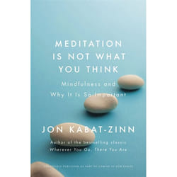Hachette UK Meditation is Not What You Think book English Paperback 240 pages