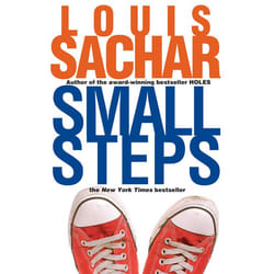 ISBN Small Steps