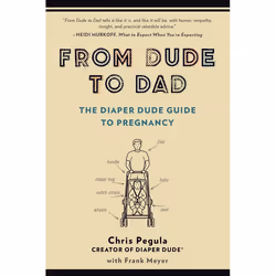 ISBN From Dude to Dad, Fiction, English, Paperback, 224 pages