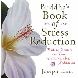 ISBN Buddha’s Book of Stress Reduction, Paperback, 224 pages