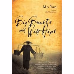 ISBN Big Breasts and Wide Hips, General novel, English, Hardcover, 240 pages