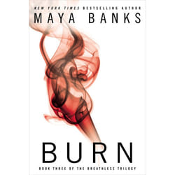 ISBN Burn