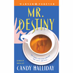 ISBN Mr. Destiny, Romance, English, 336 pages