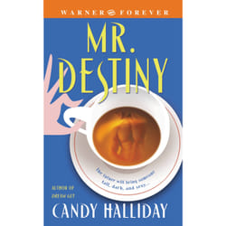 ISBN Mr. Destiny book Romance English 336 pages