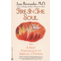 ISBN Fire in the Soul book Educational English Paperback