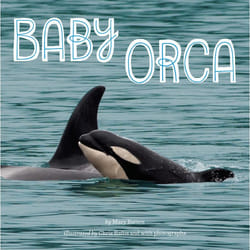 ISBN Baby Orca