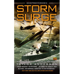 ISBN Storm Surge