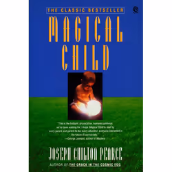ISBN Magical Child, Paperback, 272 pages