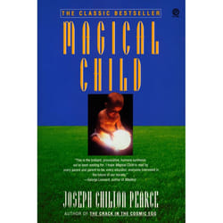 ISBN Magical Child