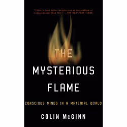 ISBN The Mysterious Flame, Philosophy, English, Paperback, 256 pages