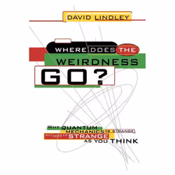 ISBN Where Does The Weirdness Go?, Scientific literature, English, Paperback, 268 pages