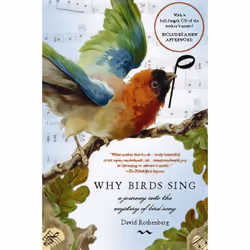ISBN Why Birds Sing, English, Paperback, 288 pages