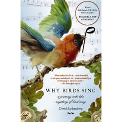 ISBN Why Birds Sing book English Paperback 288 pages