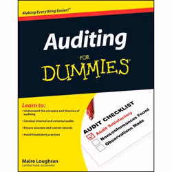 ISBN Auditing For Dummies, English, Paperback, 384 pages