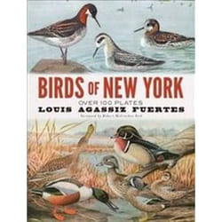 ISBN Birds of New York book Art & design English 112 pages