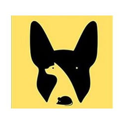 ISBN Noma Bar : Graphic Story Telling book Art & design English Paperback 400 pages