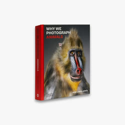 ISBN Why We Photograph Animals book 336 pages
