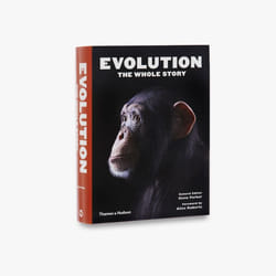 ISBN Evolution: The Whole Story book 576 pages