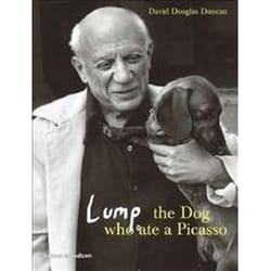 ISBN Lump : Dog Who Ate a Picasso book English Hardcover