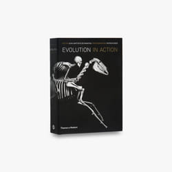 ISBN Evolution in Action book 424 pages