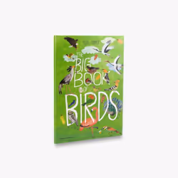 ISBN The Big Book of Birds (The Big Book series), 64 pages