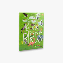 ISBN The Big of Birds (The Big series) book 64 pages