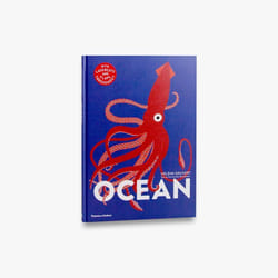 ISBN Ocean book 40 pages