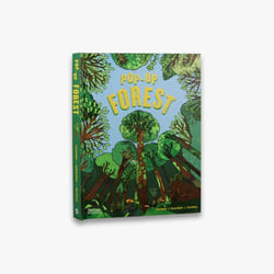 ISBN Pop-Up Forest book 22 pages