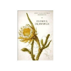 ISBN Flower Drawings: Fitzwilliam Museum Handbooks book Educational English 142 pages