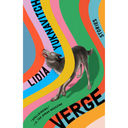 ISBN Verge book English Hardcover 208 pages