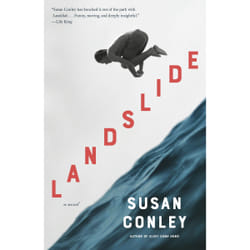 ISBN Landslide book English Hardcover 288 pages