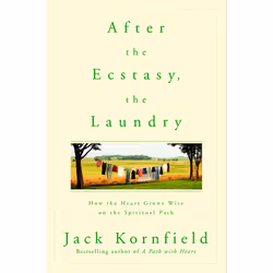 ISBN After the Ecstasy, the Laundry, Paperback, 336 pages
