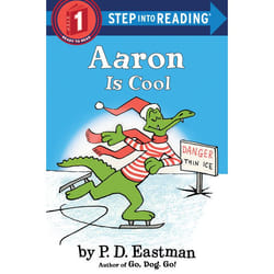 ISBN Aaron is Cool
