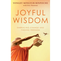 ISBN Joyful Wisdom book English Paperback 304 pages