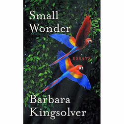 Allen & Unwin Small Wonder, Literature, English, Paperback, 288 pages