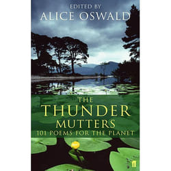Allen & Unwin Thunder Mutters book Poetry English Paperback 240 pages
