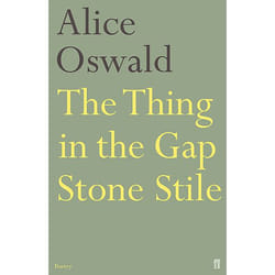Allen & Unwin The Thing in the Gap Stone Stile book Literary fiction English Paperback 64 pages