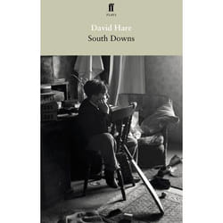 Allen & Unwin South Downs and Mere Fact, Mere Fiction book English Paperback 96 pages