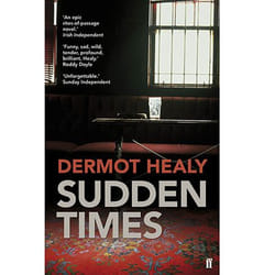 Allen & Unwin Sudden Times book Fiction English Paperback 352 pages
